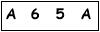 salt-1EC966D1