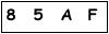 salt-977AA635