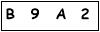 salt-C94E58B6